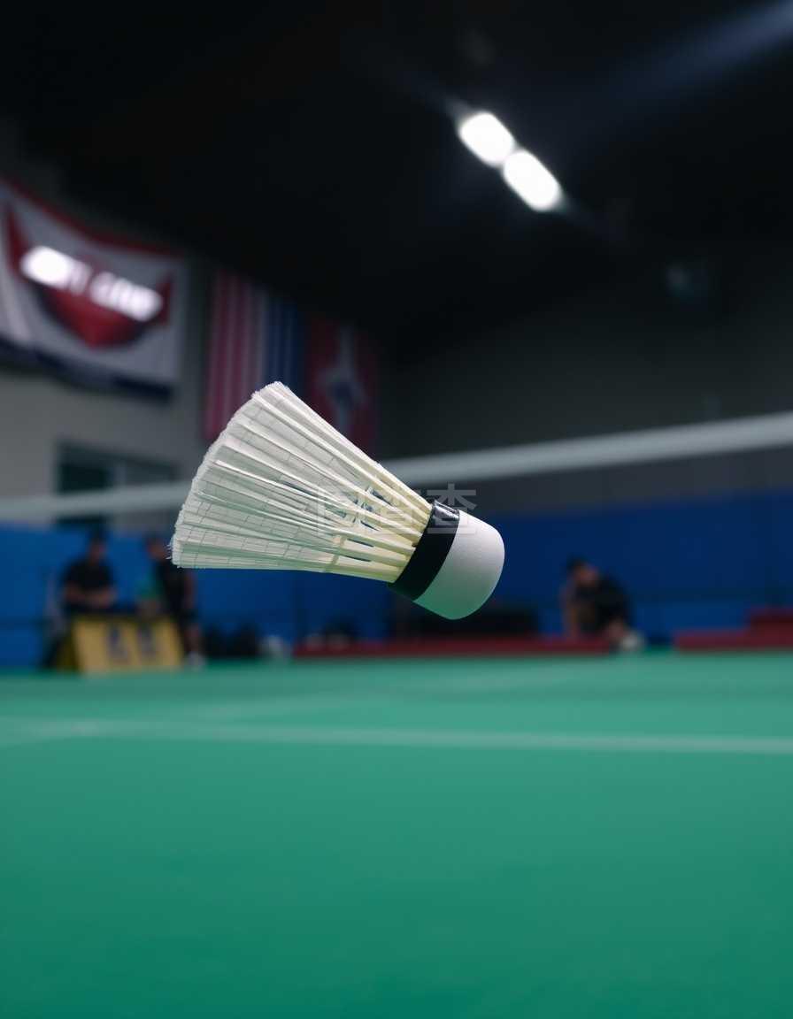 史再度成为 史再度成为