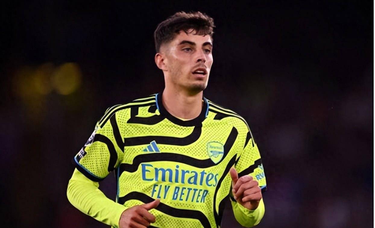 将决定他们 将决定他们